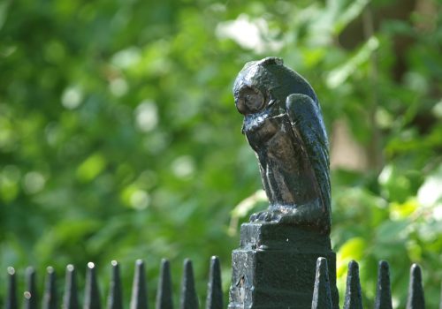 By Sallyannewilliamson - Own work, Public Domain, https://commons.wikimedia.org/w/index.php?curid=9942960